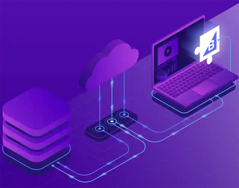 Application Programming Interfaces (APIs)