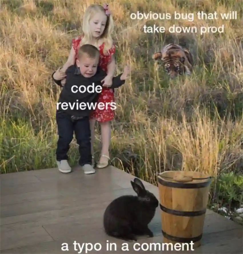 Code Review Typo Meme
