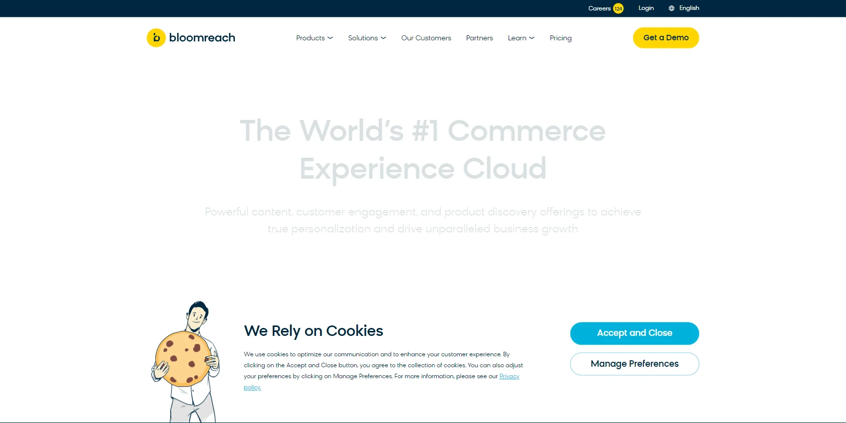 Bloomreach Website