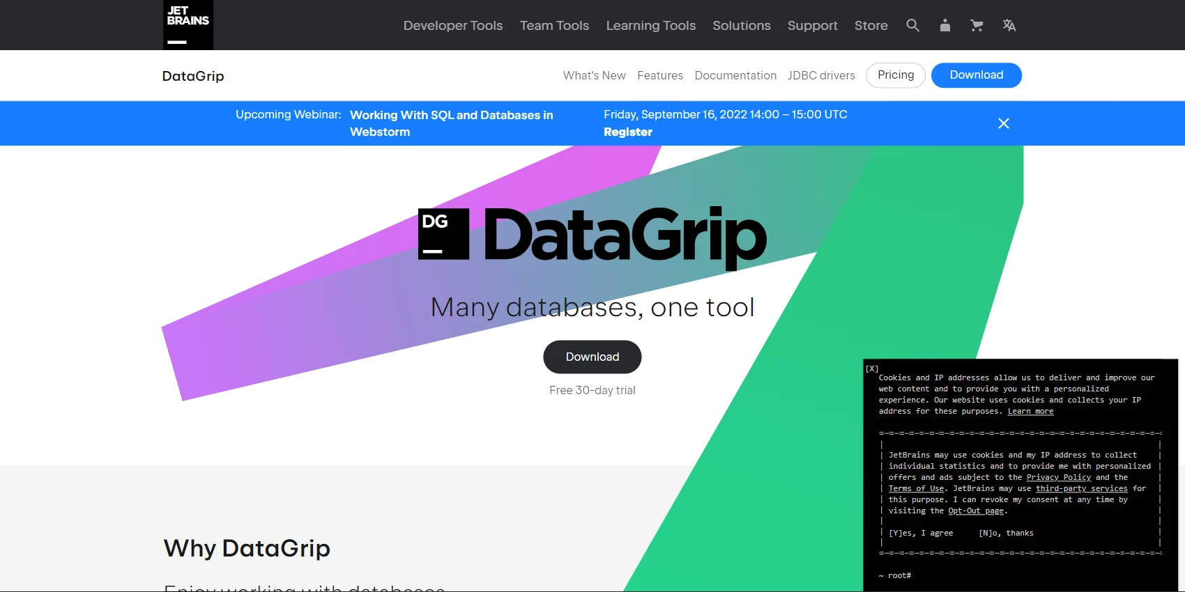 1. DataGrip Website