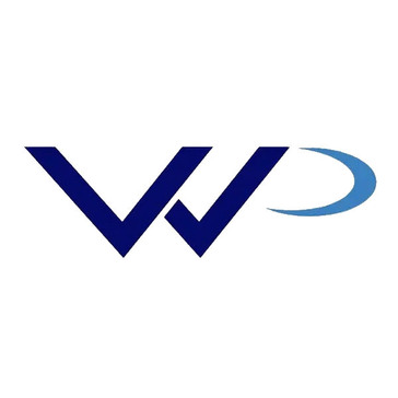 3. WinPure Logo